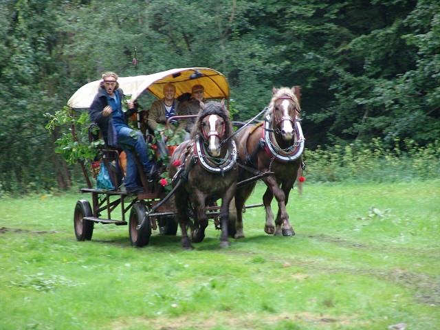 img00301.jpg