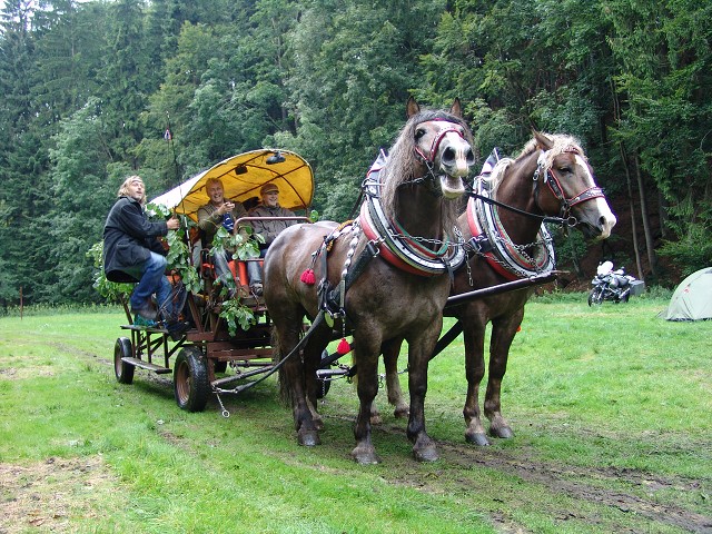 img00303.jpg