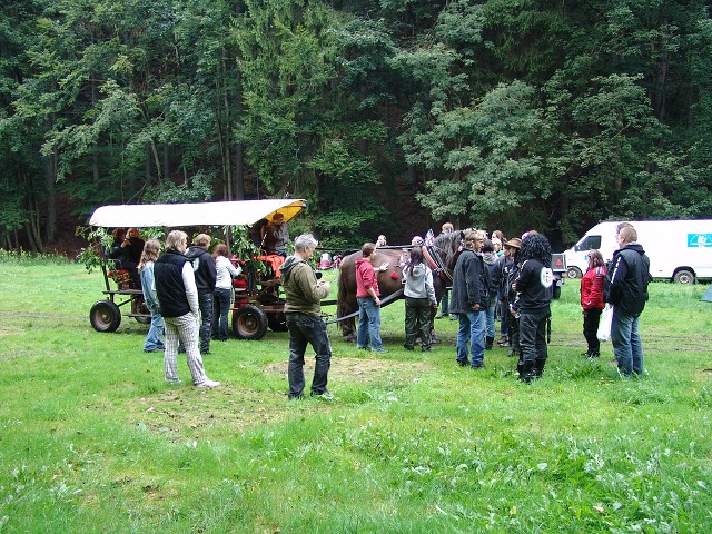 img00304.jpg