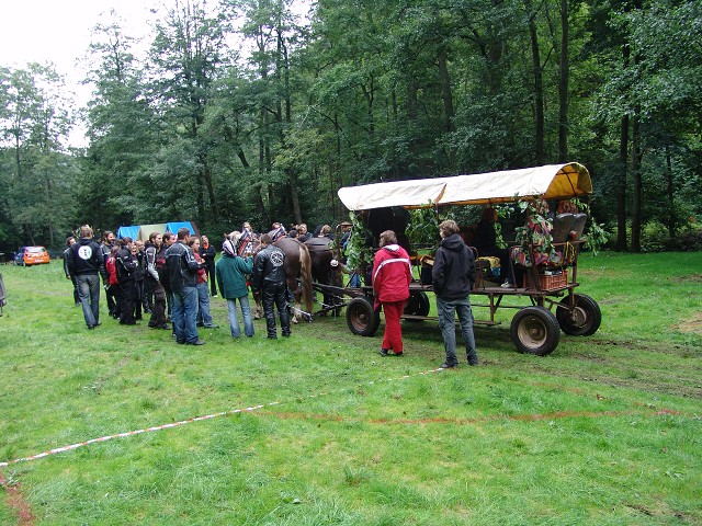img00305.jpg