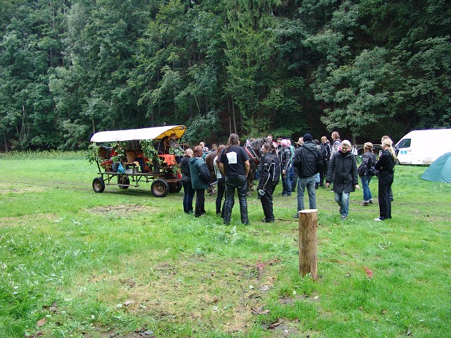 img00306.jpg
