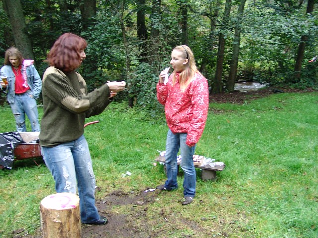 img00313.jpg