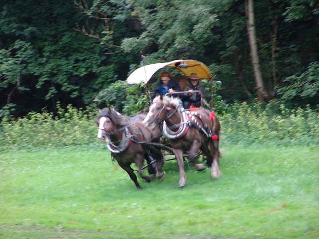 img00319.jpg