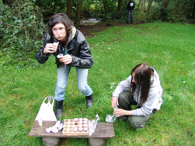 img00340.jpg