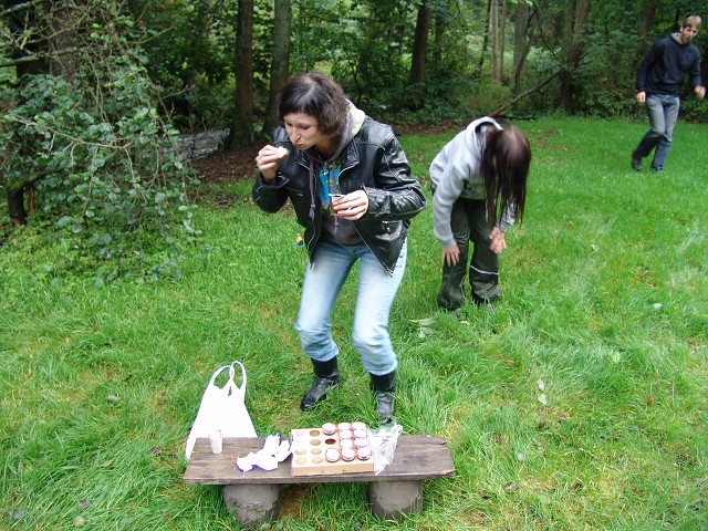 img00342.jpg